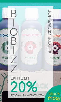 -20% Biobizz