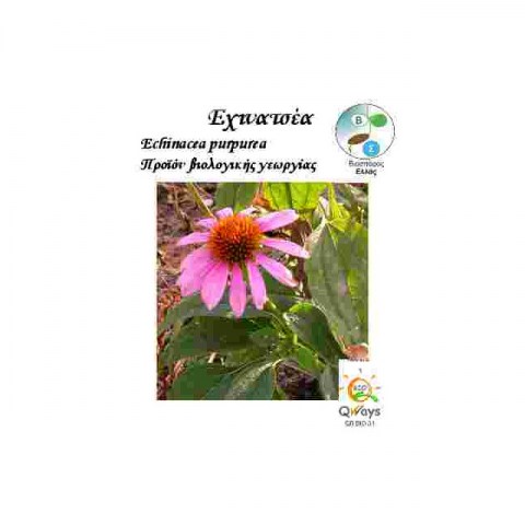 BIO Εχινάτσεα Echinacea Purpurea 0,3gr