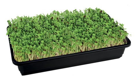 Jute Seed Mat Midi (3 τμχ)