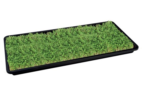 Jute Seed Mat Large (3 τμχ)