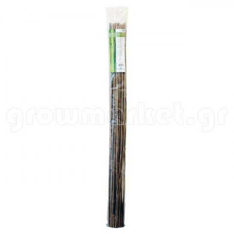 Bamboo Stakes 5' (150cm)