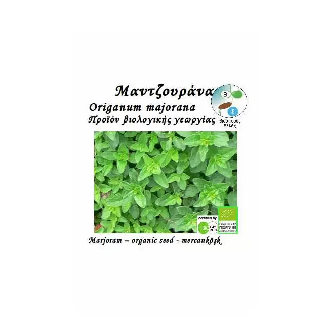 ΒΙΟ Μαντζουράνα Origanum majοrana 0,1gr