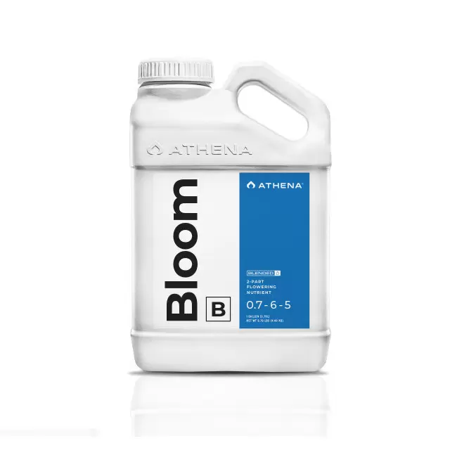 Athena Bloom B 18,92lt