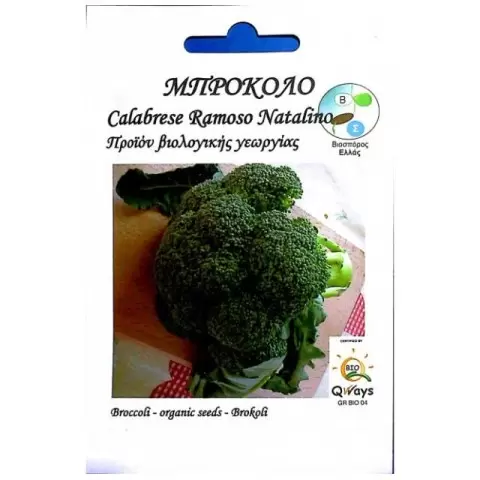 BIS 16-108 broccoli