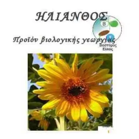 BIS 16-110 sunflower