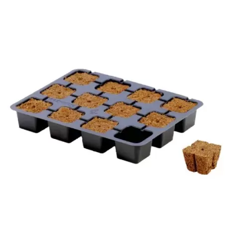 Eazy Plug CT12 dried