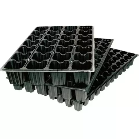 Seed Tray 60 Hole
