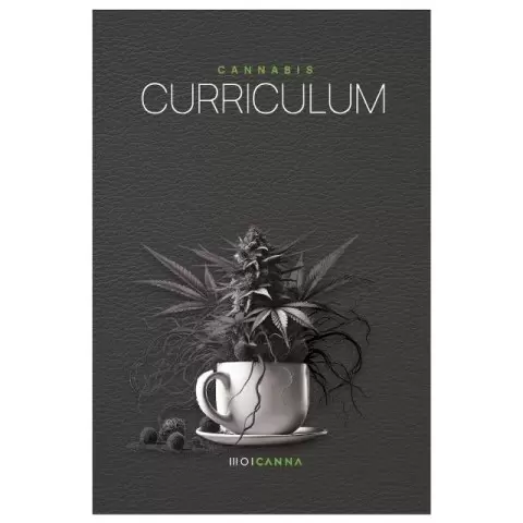 Cannabis Curriculum ENG Edition