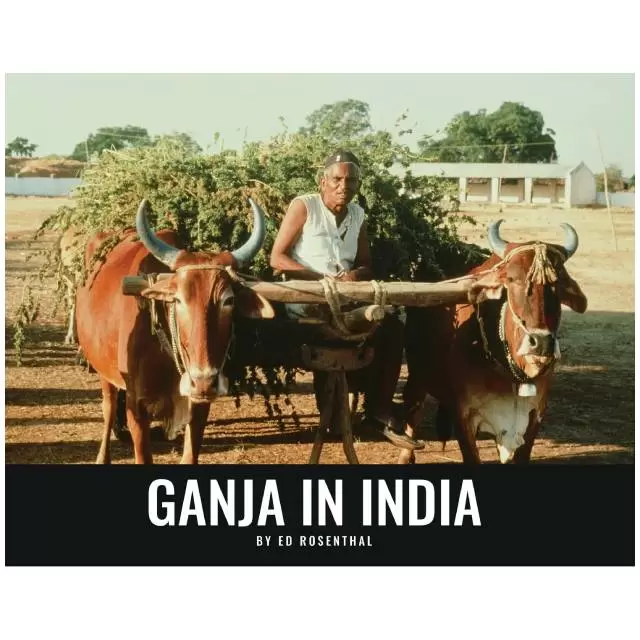 Ganja in India Ed Rosenthal
