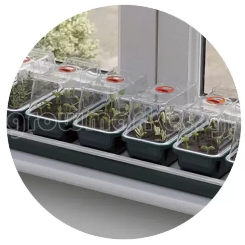 Super 7 Electric Window Propagator
