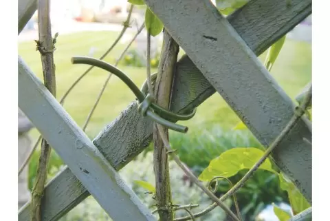 W580 30m Flexible Tie Green 3mm