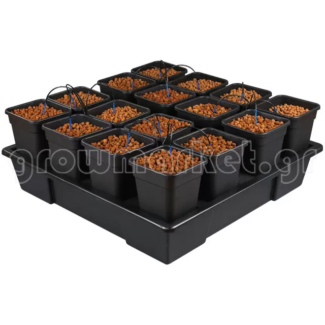 Wilma XXL 16 Complete (16x11 lt Pots)